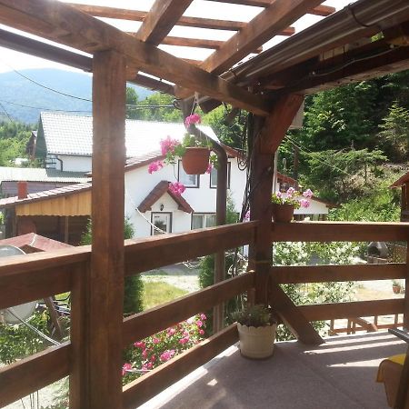 Casa Trandafirilor Hotell Cîrţişoara Exteriör bild