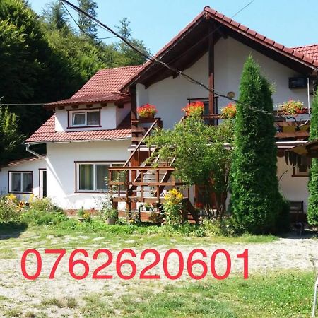 Casa Trandafirilor Hotell Cîrţişoara Exteriör bild