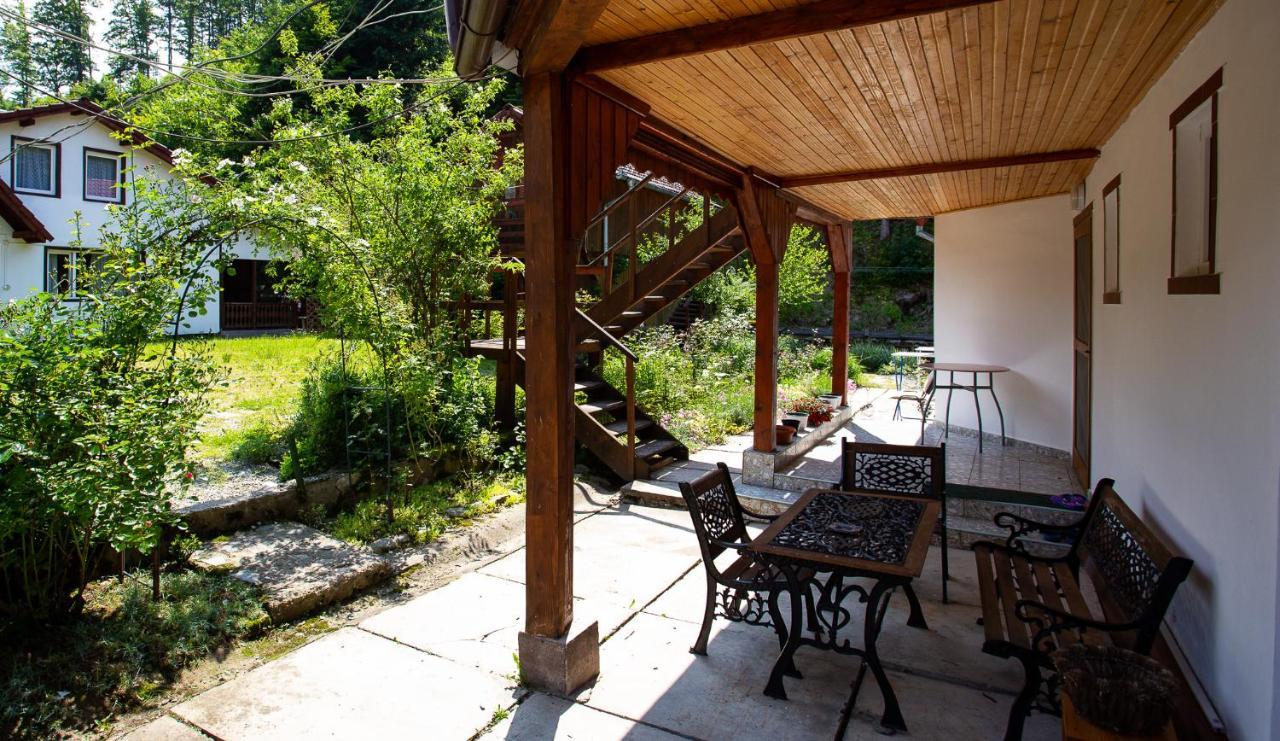 Casa Trandafirilor Hotell Cîrţişoara Exteriör bild