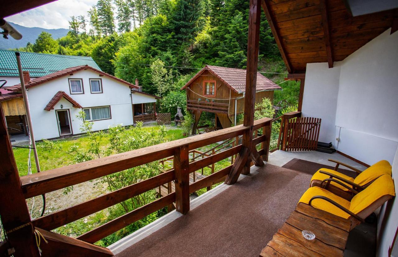 Casa Trandafirilor Hotell Cîrţişoara Exteriör bild