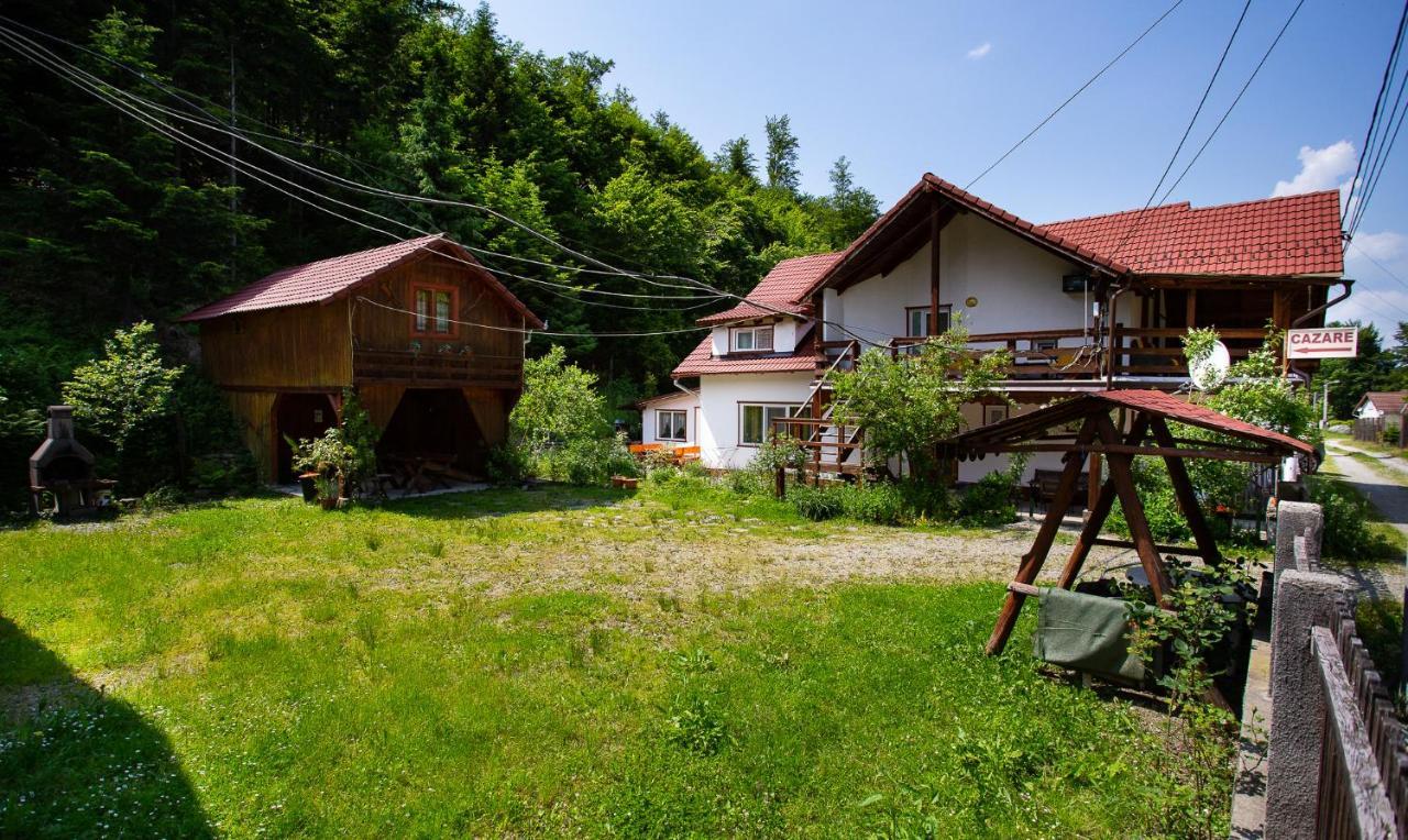 Casa Trandafirilor Hotell Cîrţişoara Exteriör bild