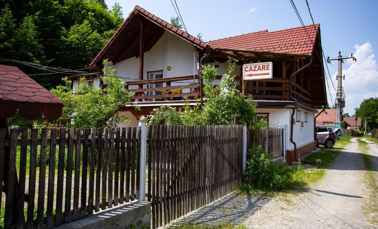 Casa Trandafirilor Hotell Cîrţişoara Exteriör bild