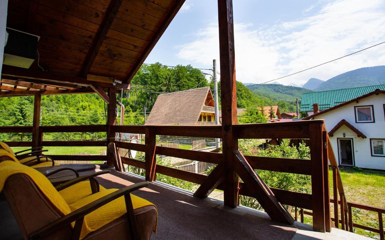 Casa Trandafirilor Hotell Cîrţişoara Exteriör bild