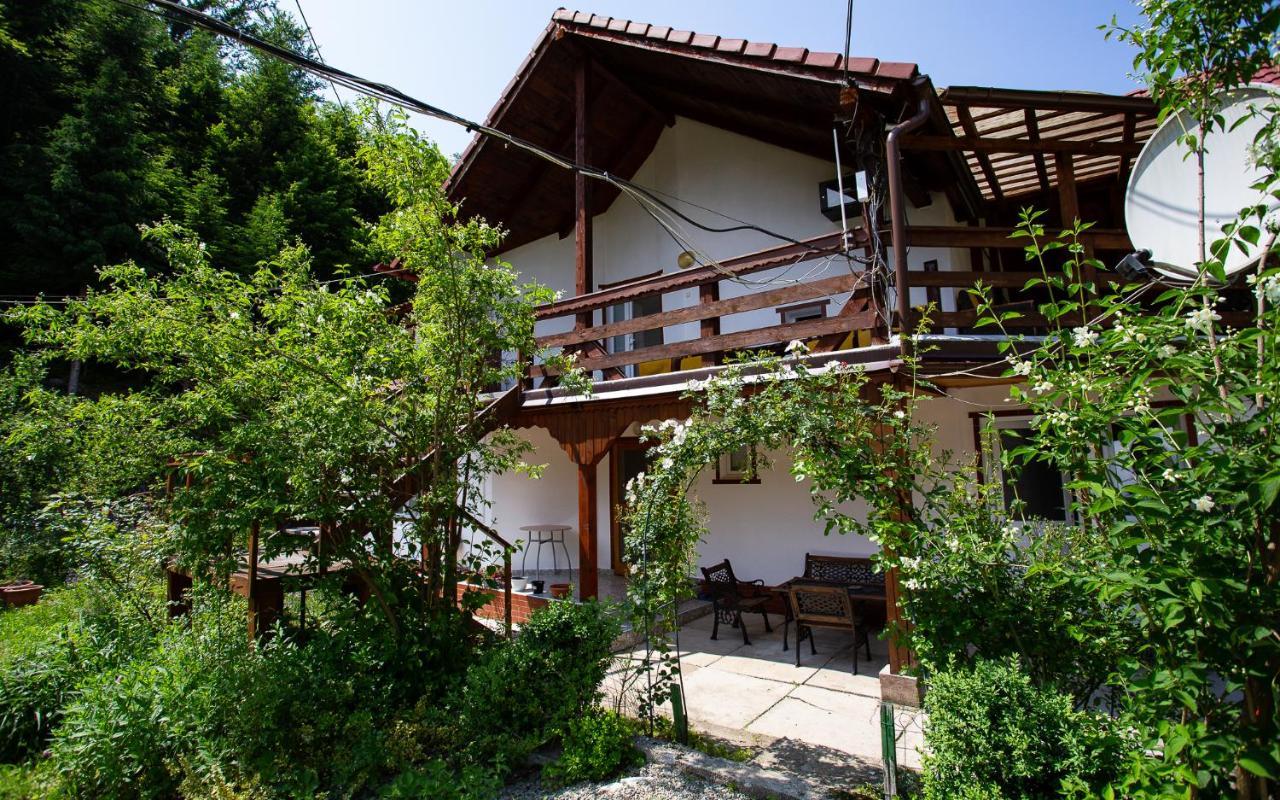 Casa Trandafirilor Hotell Cîrţişoara Exteriör bild