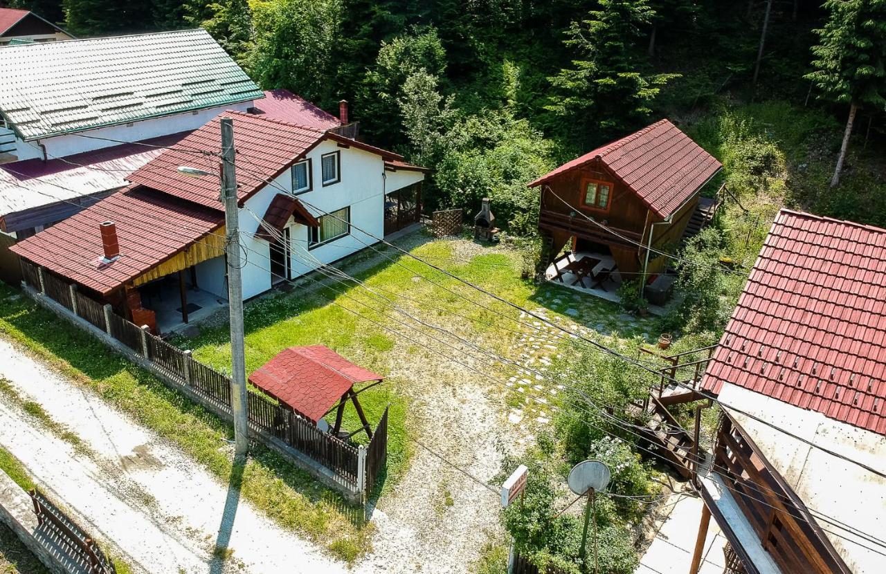 Casa Trandafirilor Hotell Cîrţişoara Exteriör bild