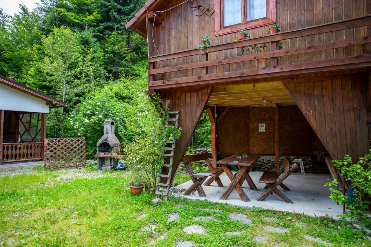 Casa Trandafirilor Hotell Cîrţişoara Exteriör bild