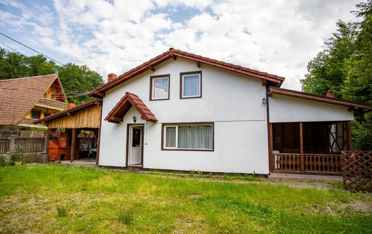 Casa Trandafirilor Hotell Cîrţişoara Exteriör bild