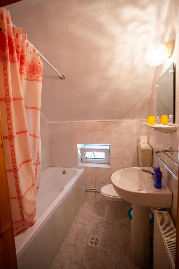 Casa Trandafirilor Hotell Cîrţişoara Exteriör bild
