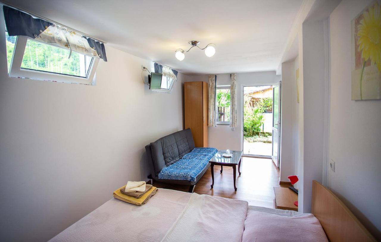 Casa Trandafirilor Hotell Cîrţişoara Exteriör bild