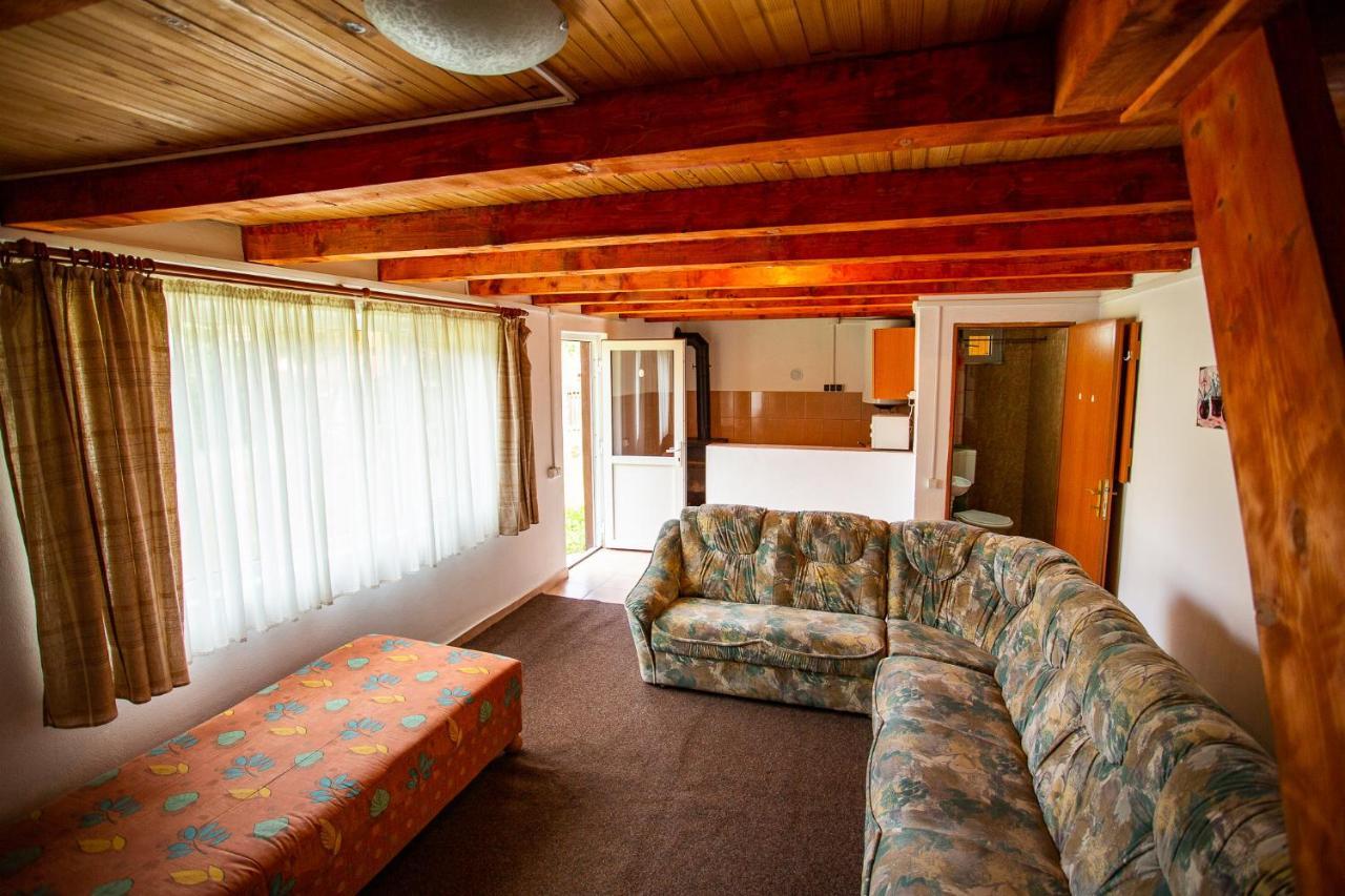 Casa Trandafirilor Hotell Cîrţişoara Exteriör bild