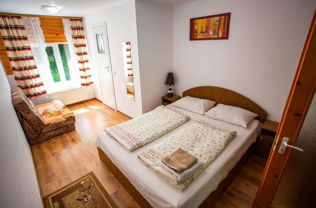 Casa Trandafirilor Hotell Cîrţişoara Exteriör bild