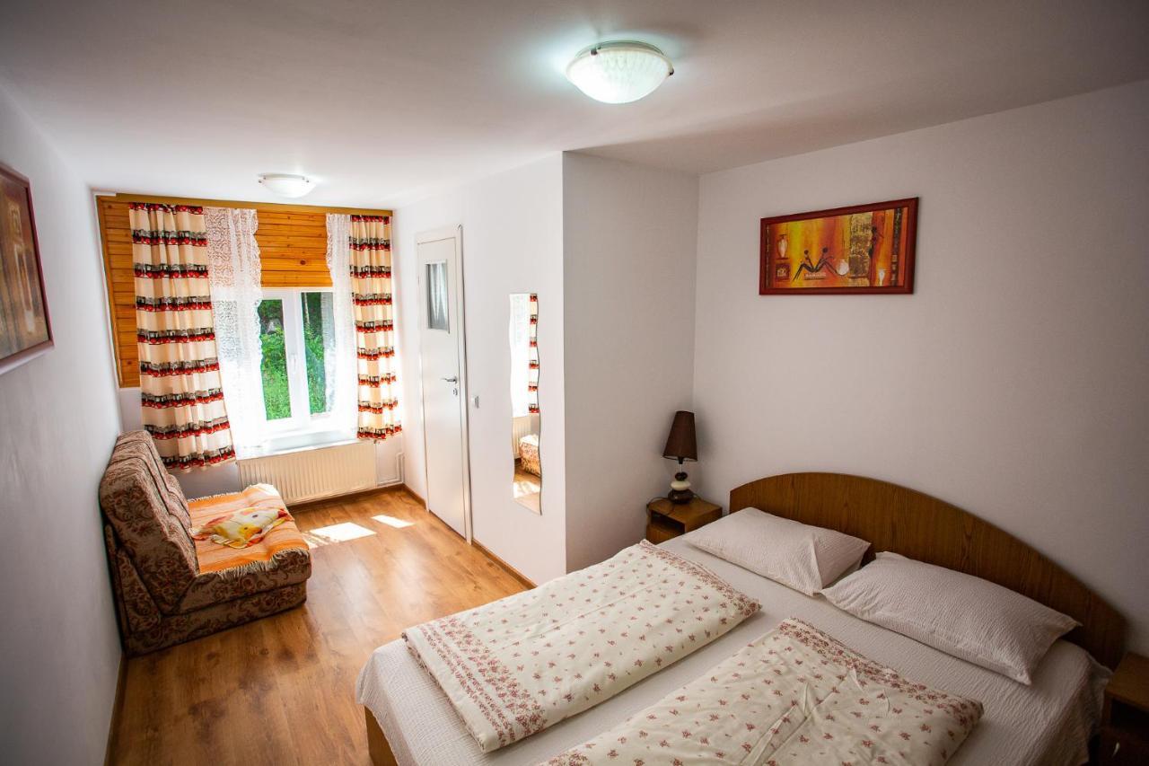 Casa Trandafirilor Hotell Cîrţişoara Exteriör bild