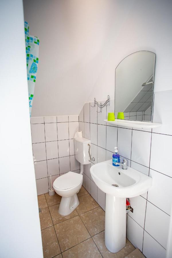 Casa Trandafirilor Hotell Cîrţişoara Exteriör bild