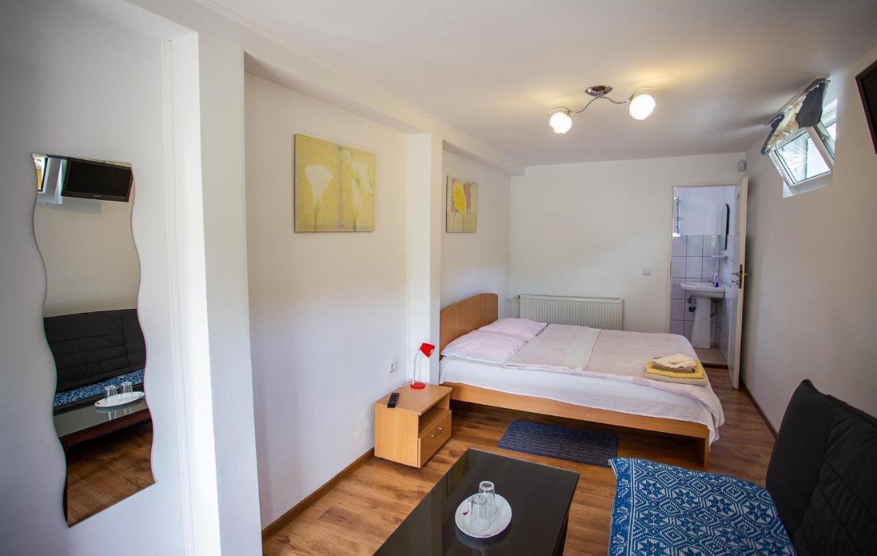 Casa Trandafirilor Hotell Cîrţişoara Exteriör bild