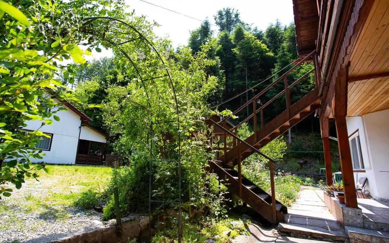 Casa Trandafirilor Hotell Cîrţişoara Exteriör bild
