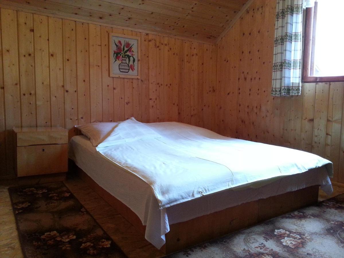 Casa Trandafirilor Hotell Cîrţişoara Exteriör bild