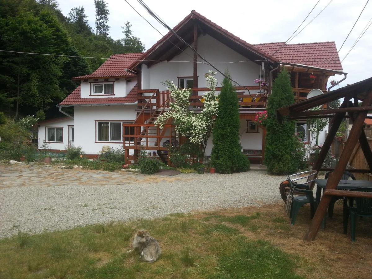 Casa Trandafirilor Hotell Cîrţişoara Exteriör bild
