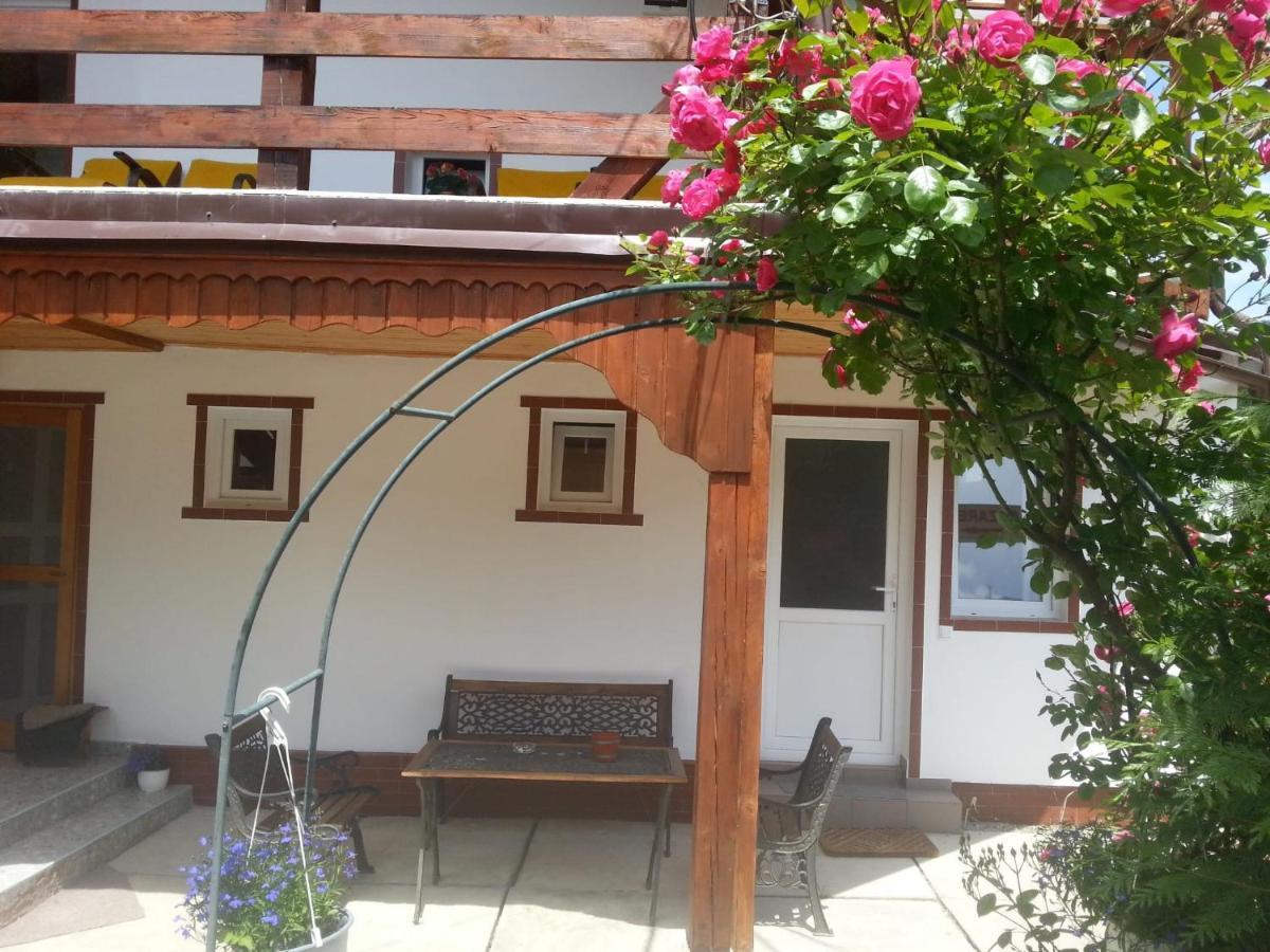 Casa Trandafirilor Hotell Cîrţişoara Exteriör bild