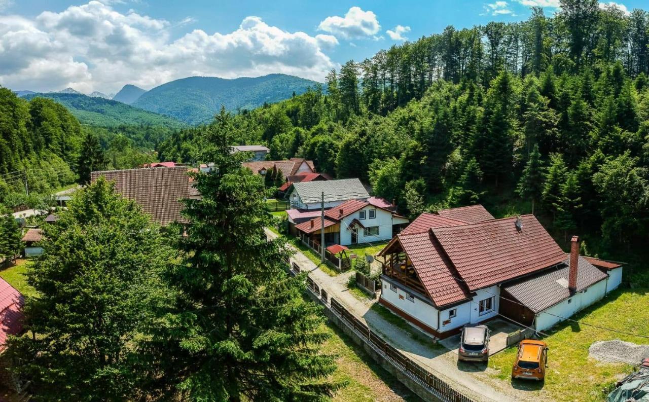Casa Trandafirilor Hotell Cîrţişoara Exteriör bild