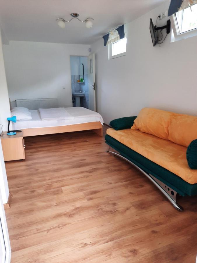 Casa Trandafirilor Hotell Cîrţişoara Rum bild