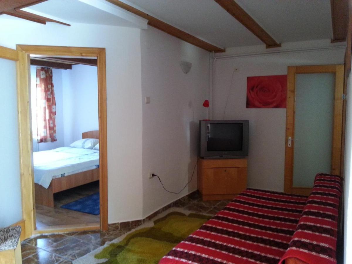 Casa Trandafirilor Hotell Cîrţişoara Exteriör bild
