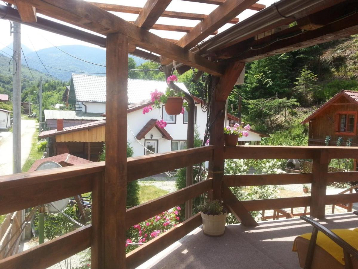 Casa Trandafirilor Hotell Cîrţişoara Exteriör bild