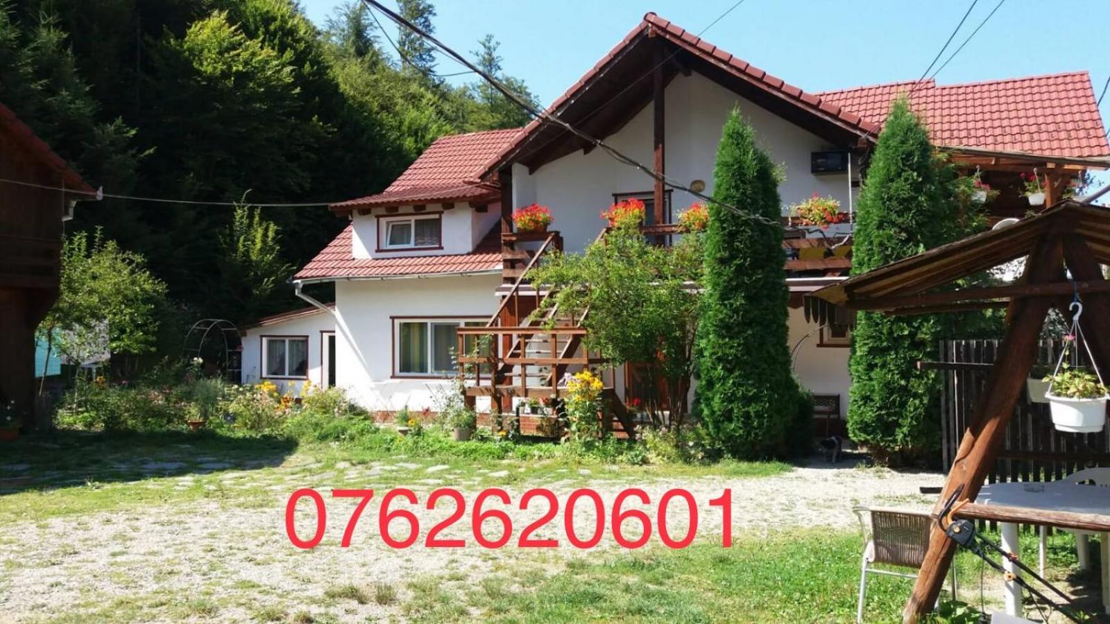 Casa Trandafirilor Hotell Cîrţişoara Exteriör bild